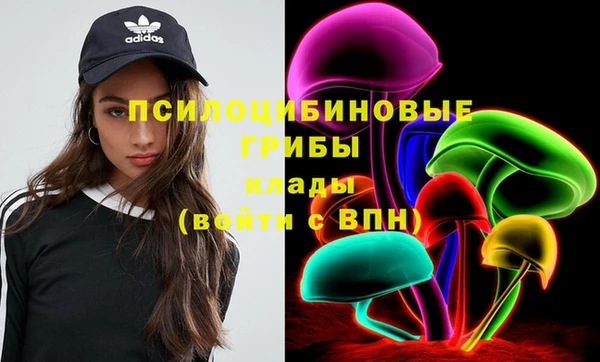 мяу мяу мука Белокуриха