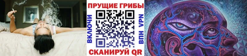 Псилоцибиновые грибы GOLDEN TEACHER  блэк спрут   Выкса 